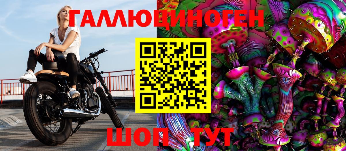 Псилоцибиновые грибы Magic Shrooms Курчалой