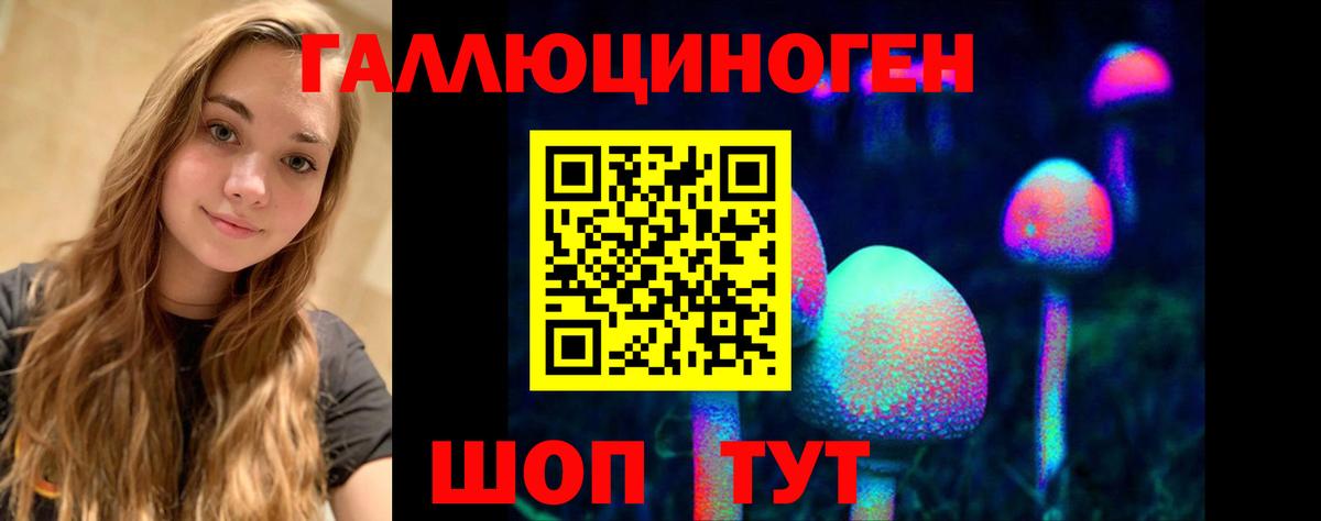 Курчалой  Псилоцибиновые грибы MAGIC MUSHROOMS  Вход с VPN 